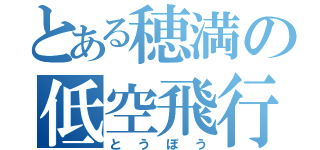 とある穂満の低空飛行（とうぼう）