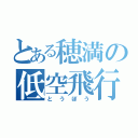 とある穂満の低空飛行（とうぼう）