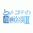 とあるコテの顔面公開Ⅱ（ガンメンキョウキ）