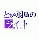 とある羽鳥のライト（笹尾るな）