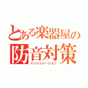 とある楽器屋の防音対策（インシュレーション）