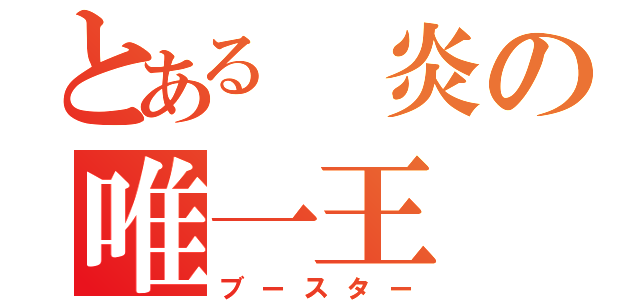 とある 炎の唯一王（ブースター）