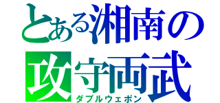 とある湘南の攻守両武（ダブルウェポン）