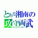 とある湘南の攻守両武（ダブルウェポン）