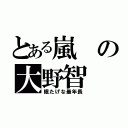 とある嵐の大野智（眠たげな最年長）