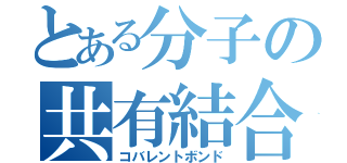 とある分子の共有結合（コバレントボンド）