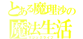 とある魔理沙の魔法生活（マジックライフ）