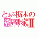 とある栃木の糞腐眼鏡Ⅱ（バンギャ）