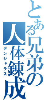 とある兄弟の人体錬成（デンジャラス）