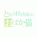 とある杉山家のおばか猫（ゆず）