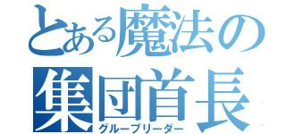 とある魔法の集団首長（グループリーダー）