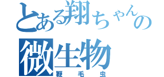 とある翔ちゃんの微生物（鞭毛虫）