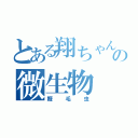 とある翔ちゃんの微生物（鞭毛虫）