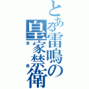 とある雷鳴の皇家禁衛軍（會長）