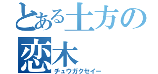 とある土方の恋木（チュウガクセイー）