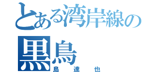 とある湾岸線の黒鳥（島達也）