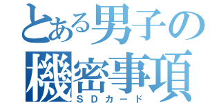 とある男子の機密事項（ＳＤカード）