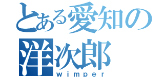 とある愛知の洋次郎（ｗｉｍｐｅｒ）