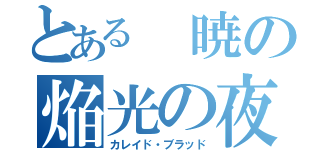 とある 暁の焔光の夜伯（カレイド・ブラッド）