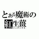 とある魔術の紅生薑（インデックス）