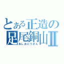 とある正造の足尾銅山Ⅱ（あしおどうざん）