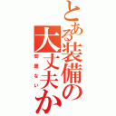 とある装備の大丈夫か？（問題ない）