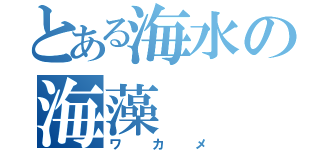 とある海水の海藻（ワカメ）