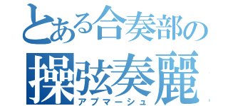 とある合奏部の操弦奏麗（アプマーシュ）