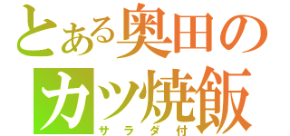 とある奥田のカツ焼飯（サラダ付）