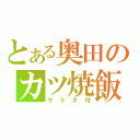 とある奥田のカツ焼飯（サラダ付）