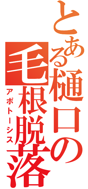 とある樋口の毛根脱落（アポトーシス）