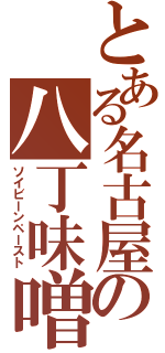 とある名古屋の八丁味噌（ソイビーンペースト）