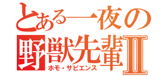 とある一夜の野獣先輩Ⅱ（ホモ・サピエンス）