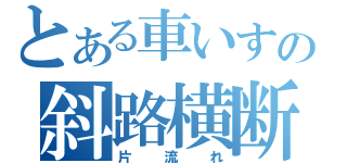 とある車いすの斜路横断（片流れ）