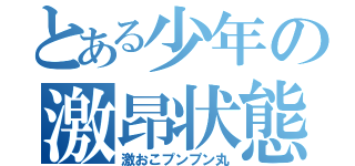 とある少年の激昂状態（激おこプンプン丸）