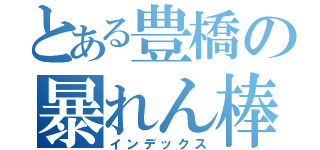 とある豊橋の暴れん棒（インデックス）