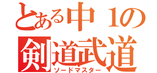 とある中１の剣道武道（ソードマスター）