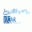 とある野生動物の広域（モニタリング）