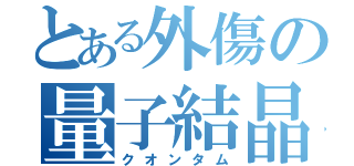 とある外傷の量子結晶（クオンタム）