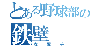 とある野球部の鉄壁（左翼手）