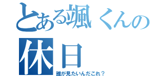 とある颯くんの休日（誰が見たいんだこれ？）