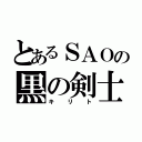 とあるＳＡＯの黒の剣士（キリト）