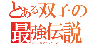 とある双子の最強伝説（パーフェクトストーリー）