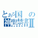 とある国の神聖禁書Ⅱ（禁止使用物）