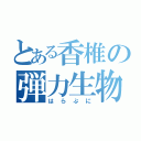 とある香椎の弾力生物（はらぷに）