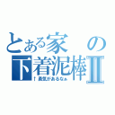 とある家の下着泥棒Ⅱ（↑勇気があるなぁ）