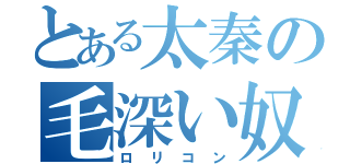 とある太秦の毛深い奴（ロリコン）