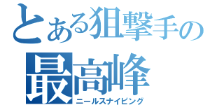 とある狙撃手の最高峰（ニールスナイピング）