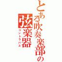 とある吹奏楽部の弦楽器（コントラバス）