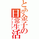 とある金子の日常生活（ガールストーカー）